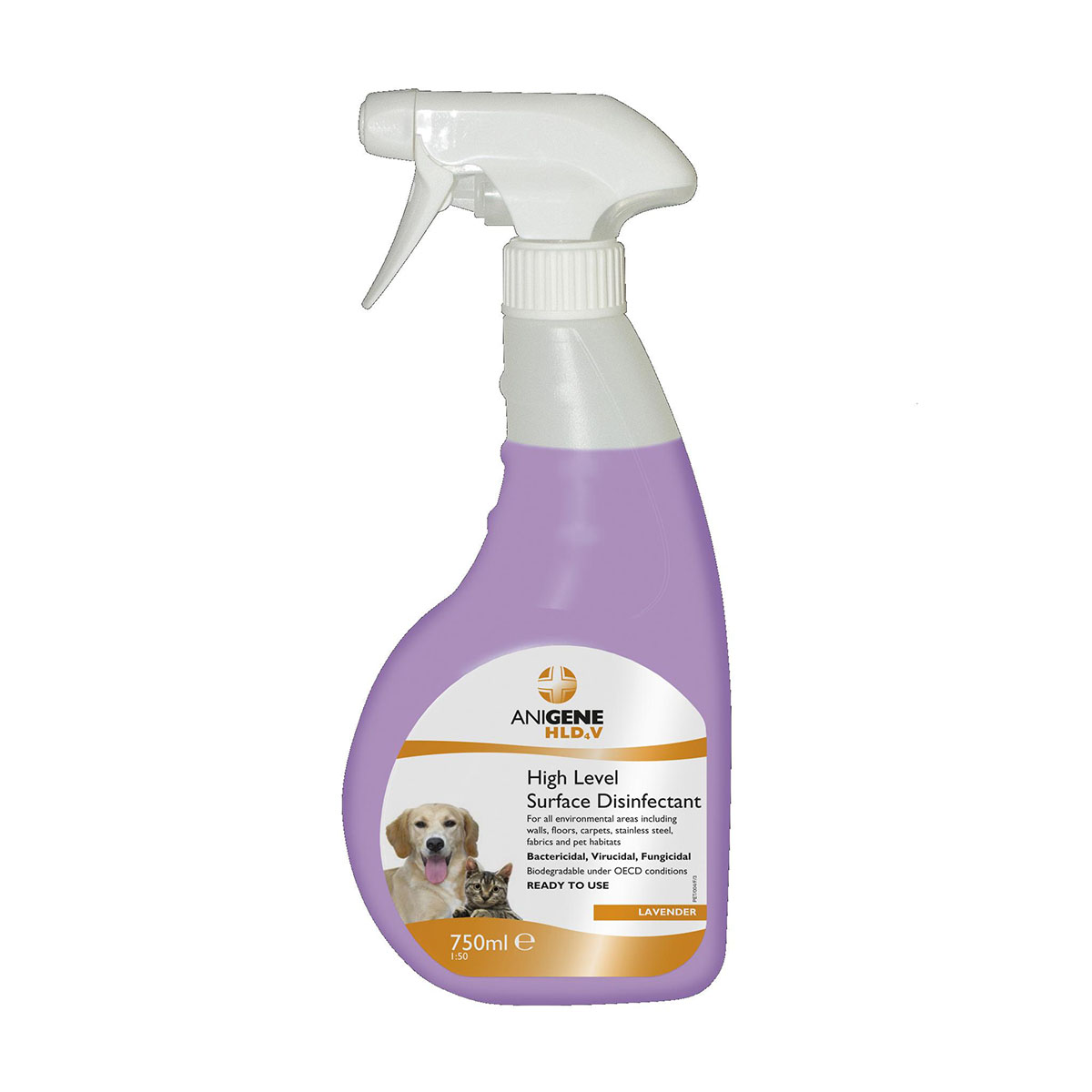 ANIGENE DISINFECTANT SPRAY Med Express